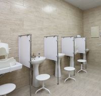 IMG 7247